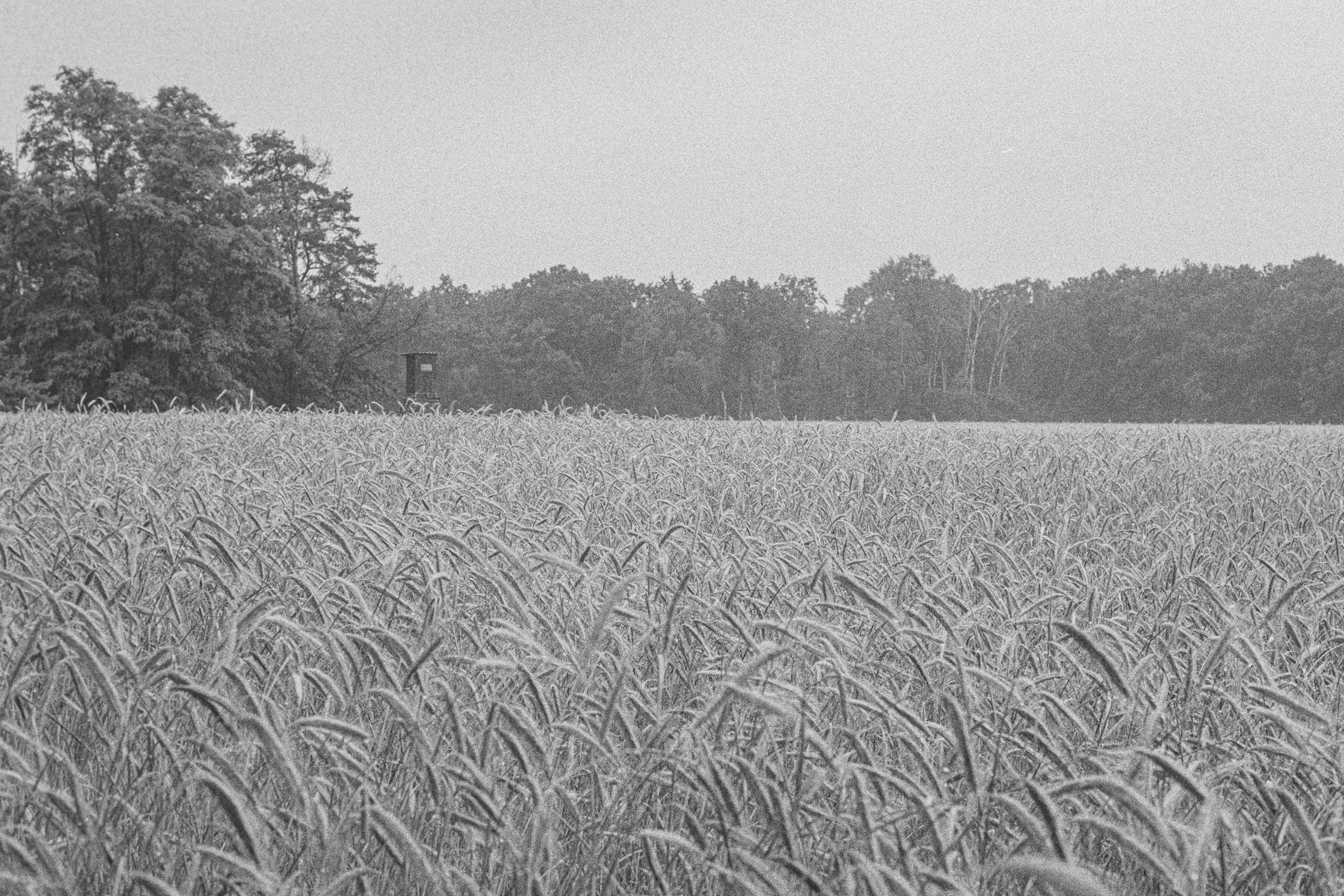 Praca w wojsku: Konin szuka zawodowców. Jakie umiejętności?